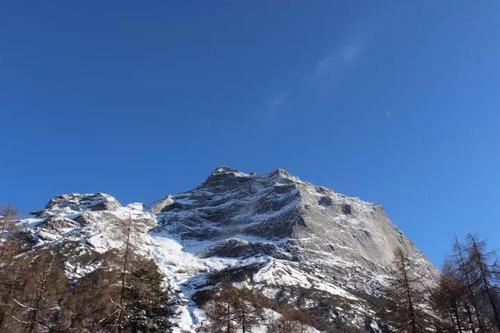 QQ图片20171130100351.jpg