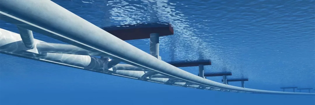 1565061734926560.jpg