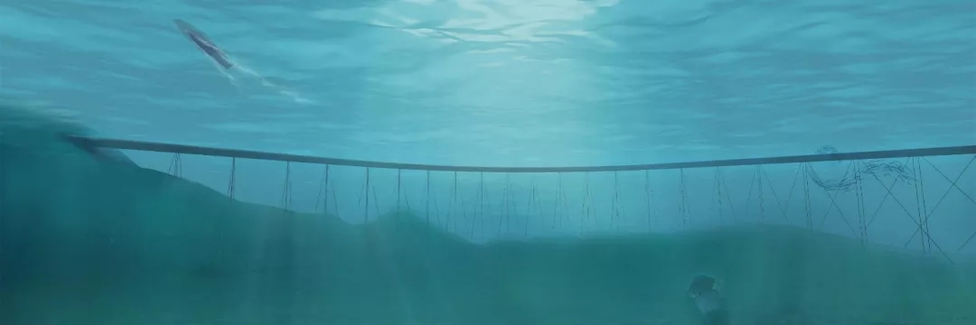 1565061823126293.jpg