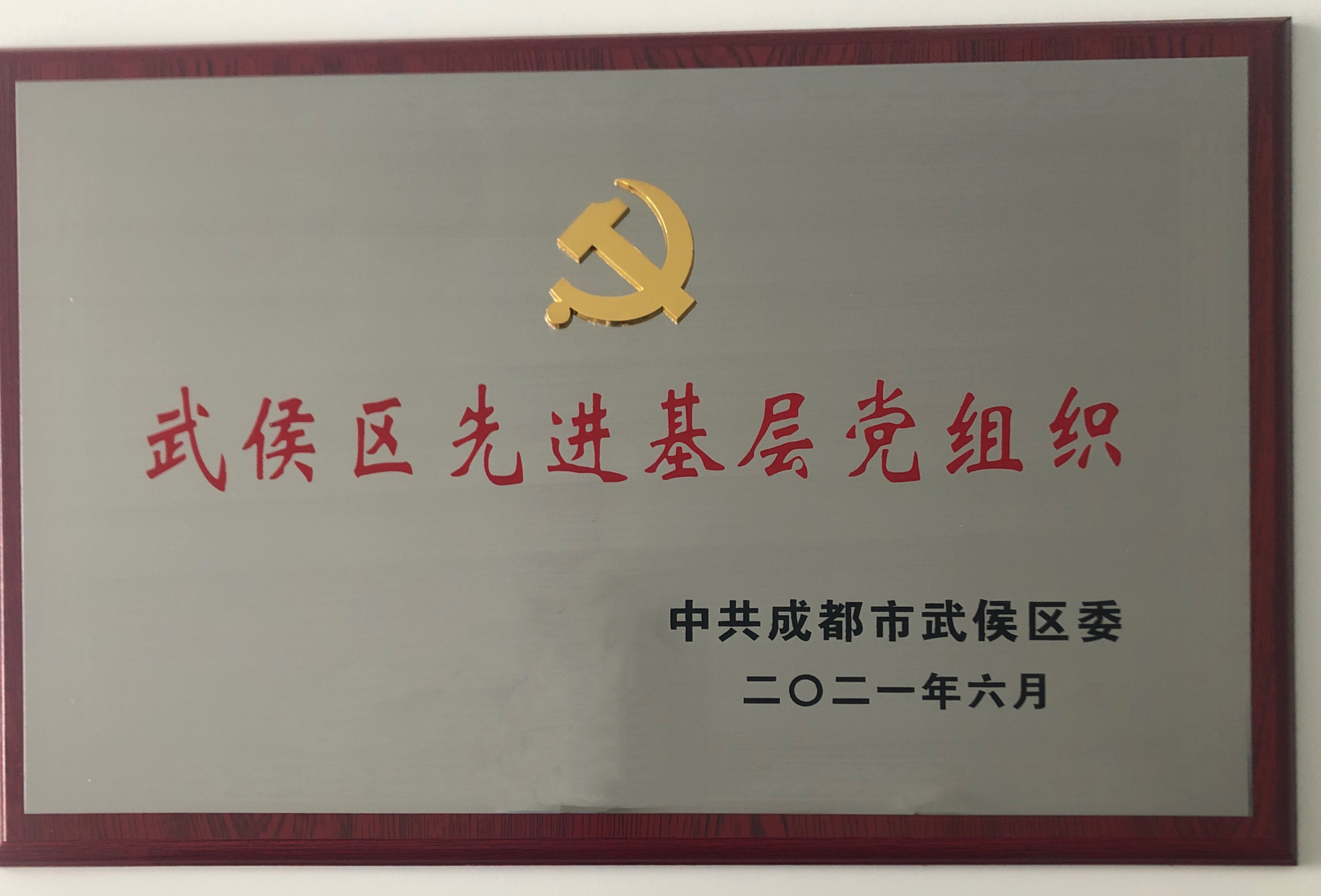2021-中共成都市武侯区委武侯区先进基层党组织.png